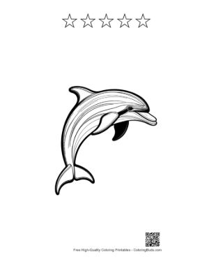 Thumbnail: Jumping Dolphin Outline Printable and 5 Star Outline