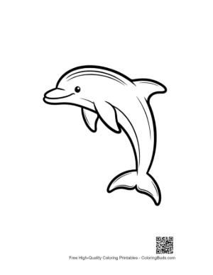 Thumbnail: Playful Dolphin Mid-Jump