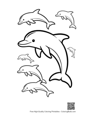 Thumbnail: Playful Group of Dolphins Leaping