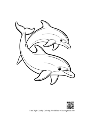 Thumbnail: Playful Pair of Dolphins Leaping