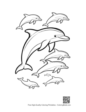 Thumbnail: Playful Pod of Dolphins Leaping