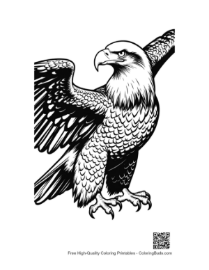 Thumbnail: Fierce Bald Eagle in Majestic Flight