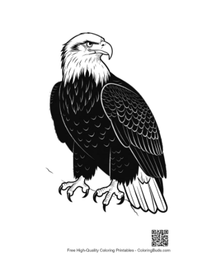 Thumbnail: Fierce Bald Eagle Line Art Portrait
