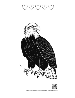Thumbnail: Fierce Bald Eagle Line Art Portrait Printable and 5 Heart Outline