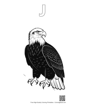 Thumbnail: Fierce Bald Eagle Line Art Portrait Printable Outline Alphabet J
