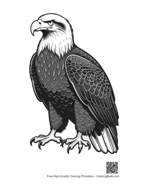 Thumbnail: Fierce Bald Eagle Standing Tall