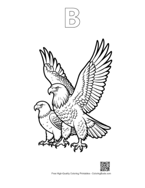 Thumbnail: Majestic Adult and Juvenile Bald Eagles Printable Outline Alphabet B