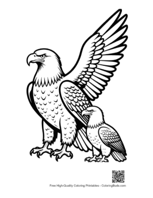 Thumbnail: Majestic Adult Bald Eagle with Juvenile Eagle