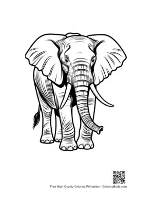 Thumbnail: African Elephant Line Art Portrait