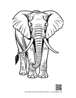 Thumbnail: Frontal View of Majestic African Elephant