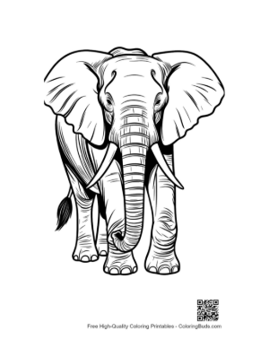 Thumbnail: Majestic African Elephant Line Art