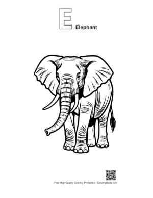 Thumbnail: Majestic African Elephant Line Art Printable Outline Alphabet E Elephant