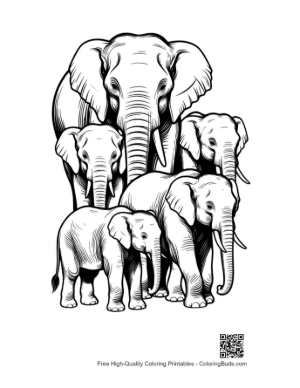 Thumbnail: Asian Elephant Family Portrait