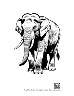 Thumbnail: Majestic Asian Elephant Line Art