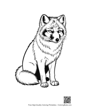 Thumbnail: Adorable Arctic Fox Sitting