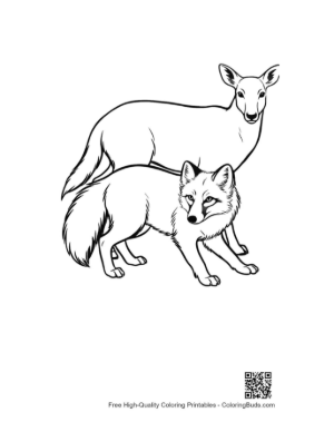 Thumbnail: Arctic Fox and Doe Line Art