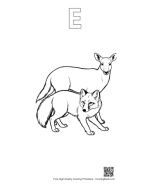 Thumbnail: Arctic Fox and Doe Line Art Printable Outline Alphabet E