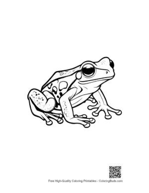 Thumbnail: Adorable Tree Frog Illustration