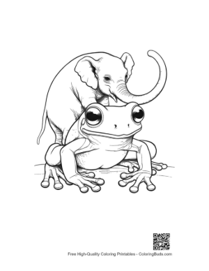 Thumbnail: Baby Elephant Riding Tree Frog