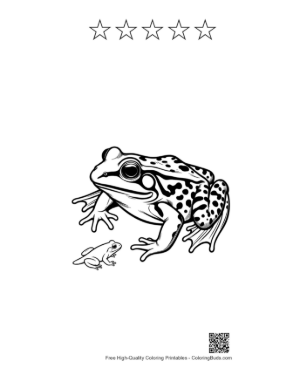 Thumbnail: Bullfrog and Baby Frog Illustration Printable and 5 Star Outline