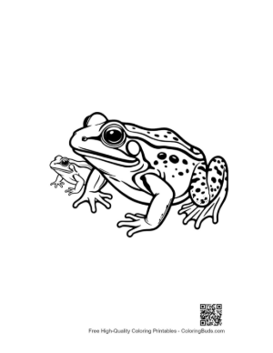 Thumbnail: Bullfrog and Tadpole Line Art