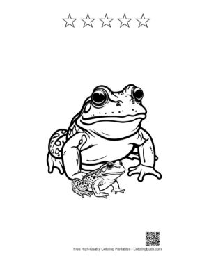 Thumbnail: Bullfrog and Tadpole Line Art Printable and 5 Star Outline