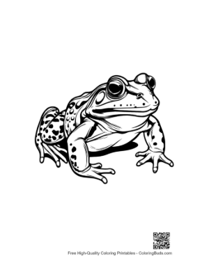 Thumbnail: Bullfrog Illustration