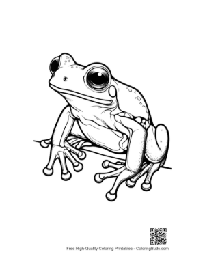 Thumbnail: Curious Tree Frog on Branch