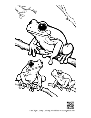 Thumbnail: Playful Tree Frogs on Branches