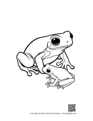 Thumbnail: Tree Frog Parent and Baby
