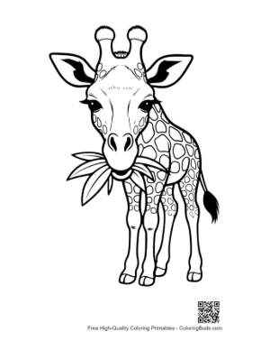 Thumbnail: Baby Giraffe Munching Leaves