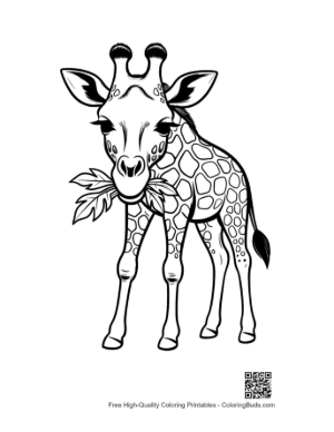 Thumbnail: Baby Giraffe Munching Leaves