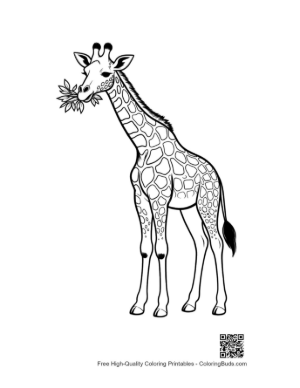 Thumbnail: Giraffe Munching on Leaves