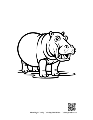 Thumbnail: Cheerful Hippo Standing in Shallow Water