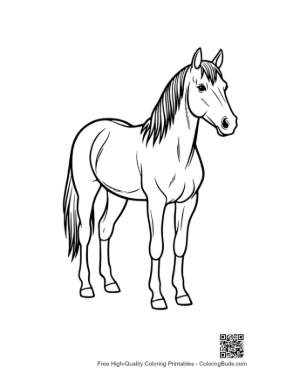 Thumbnail: Cute Pony Standing Proudly