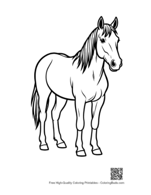 Thumbnail: Wild Horse Standing Proudly