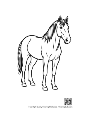 Thumbnail: Wild Horse Standing Proudly