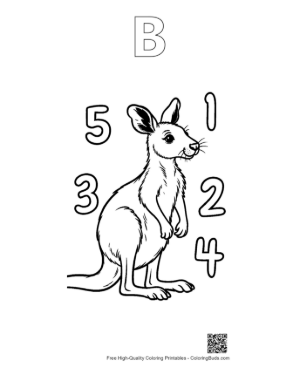 Thumbnail: Educational Kangaroo Coloring Page with Numbers 1-10 Printable Outline Alphabet B