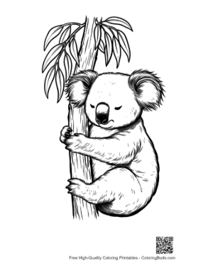 Thumbnail: Cute Koala Clinging to Eucalyptus Tree
