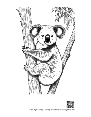 Thumbnail: Cute Koala Clinging to Eucalyptus Tree
