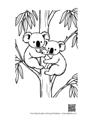 Thumbnail: Koala Family on Eucalyptus Tree