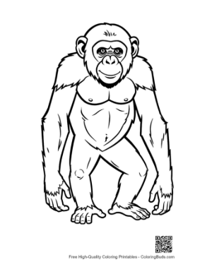 Thumbnail: Cheerful Chimpanzee Standing Proudly