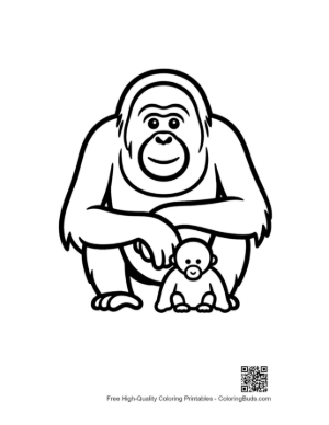 Thumbnail: Orangutan Mother and Baby Sitting Together