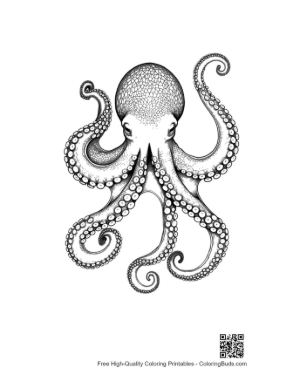 Thumbnail: Gigantic Octopus Ink Drawing