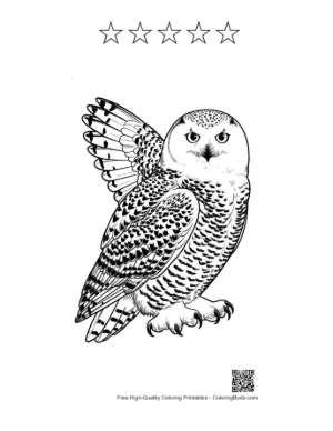 Thumbnail: Fierce Snowy Owl Spreading Wings Printable and 5 Star Outline