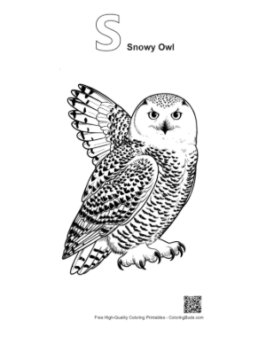 Thumbnail: Fierce Snowy Owl Spreading Wings Printable Outline Alphabet S Snowy Owl