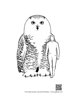 Thumbnail: Giant Snowy Owl Towering Over Man
