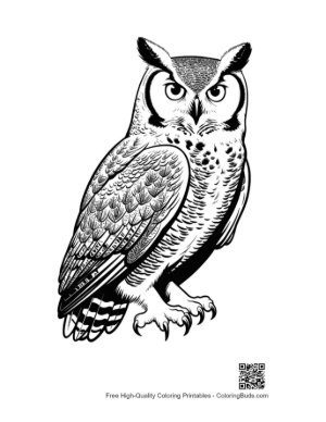 Thumbnail: Great Horned Owl Staring Fiercely