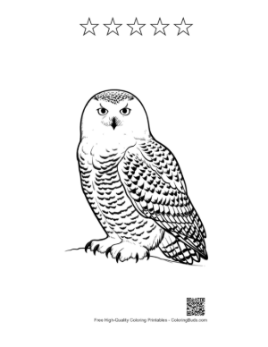 Thumbnail: Intense Snowy Owl Perched on Snow Printable and 5 Star Outline
