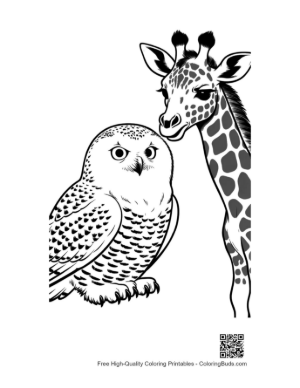 Thumbnail: Snowy Owl and Giraffe Friendly Gaze